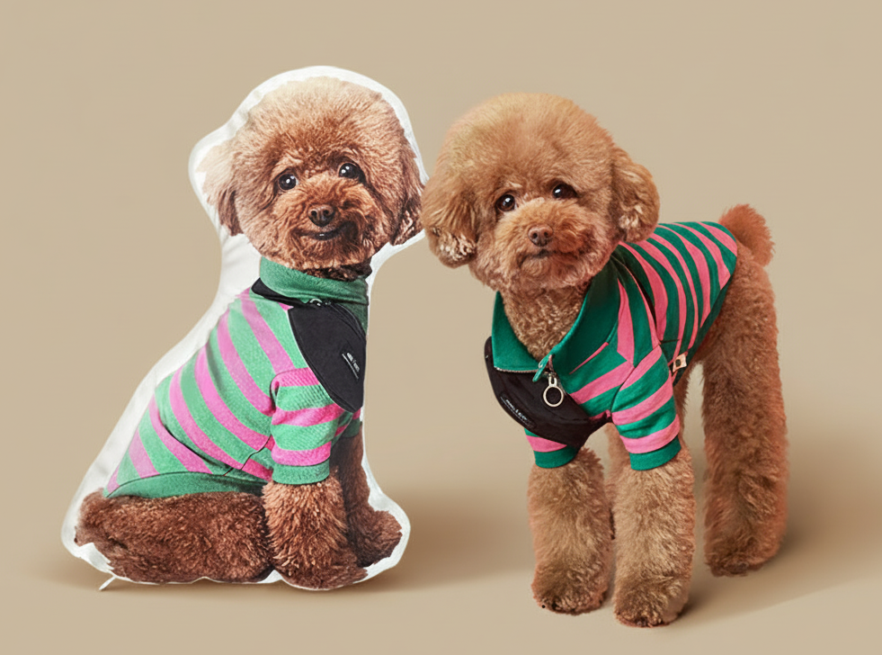 un perro y un cojín personalizado con la foto del perro 1